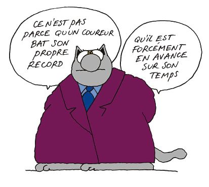 chatcoureur chatcoureur