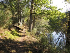 sur les chemins...